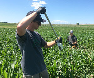 An image of Scientists working in the field